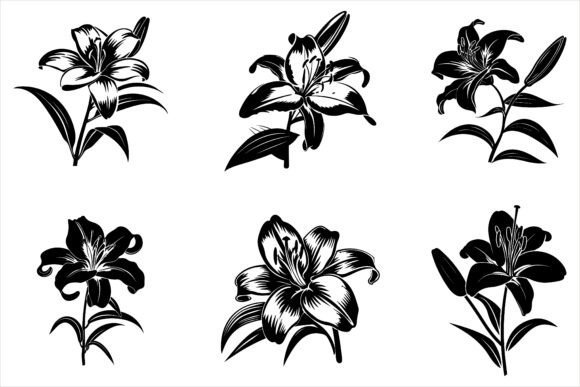 Download Lily Flower Silhouette Vector - Premium Bundle