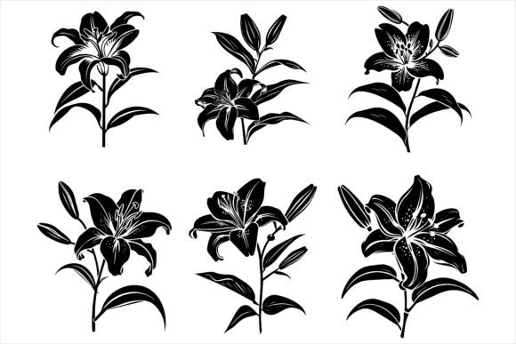 Download Lily Flower Silhouette Vector - Premium Resources
