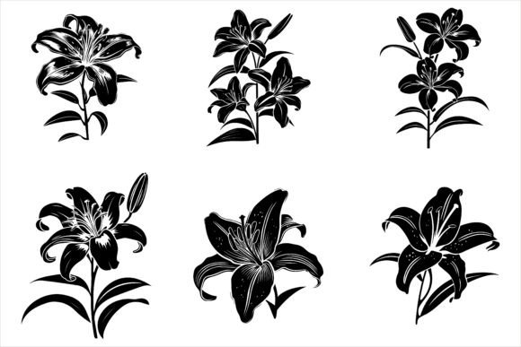 Download Lily Flower Silhouette Vector - Premium Bundle
