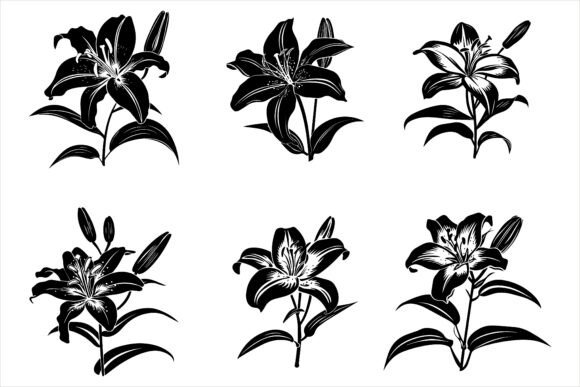 Download Lily Flower Silhouette Vector - Premium Resources