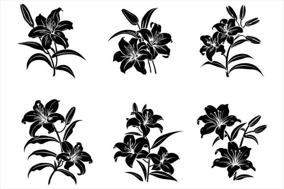 Download Lily Flower Silhouette Vector - Premium Resources